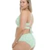 Salt Cay Plus Size Retro Swim Bottom - Mint